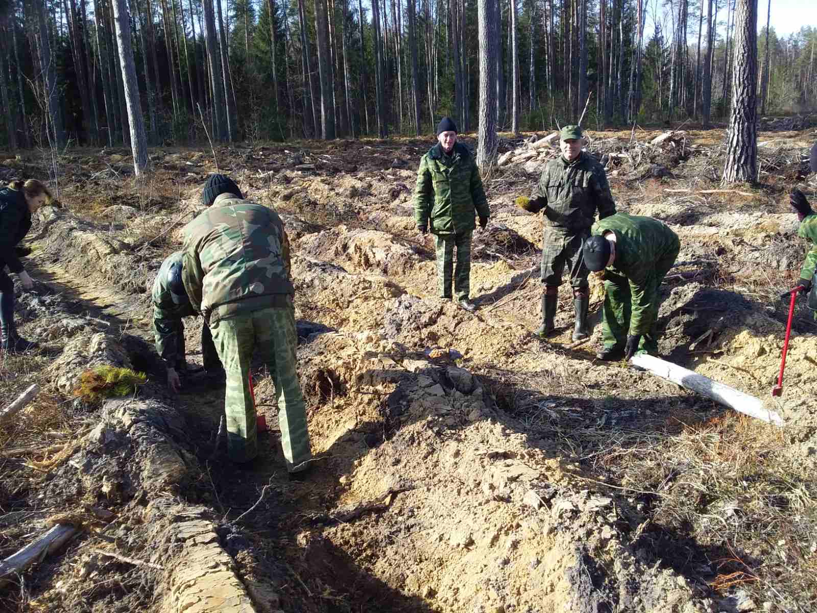 Беларусь – одна из самых зеленых стран мира - БЕЛОРУССКИЙ ПРОФСОЮЗ  РАБОТНИКОВ ГОСУДАРСТВЕННЫХ И ДРУГИХ УЧРЕЖДЕНИЙ